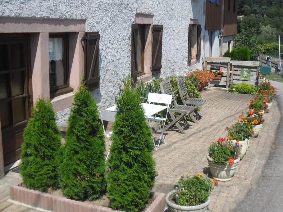 Gite La Fermette A Docelles Exteriér fotografie